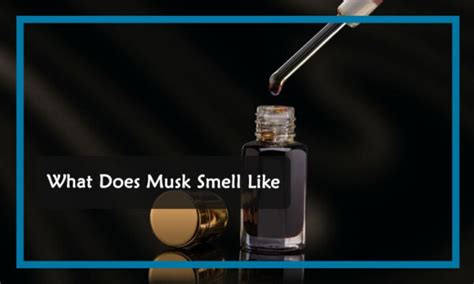 what smells like musk